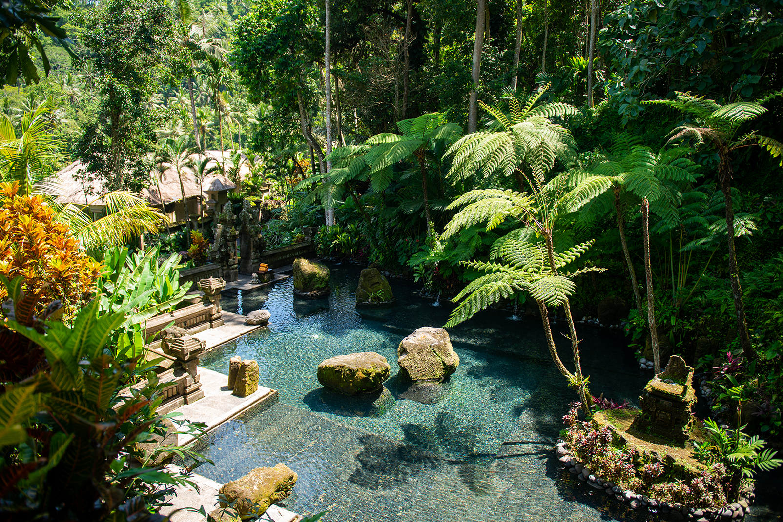 Natural Water Pools